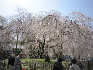 IMG_0087.JPG